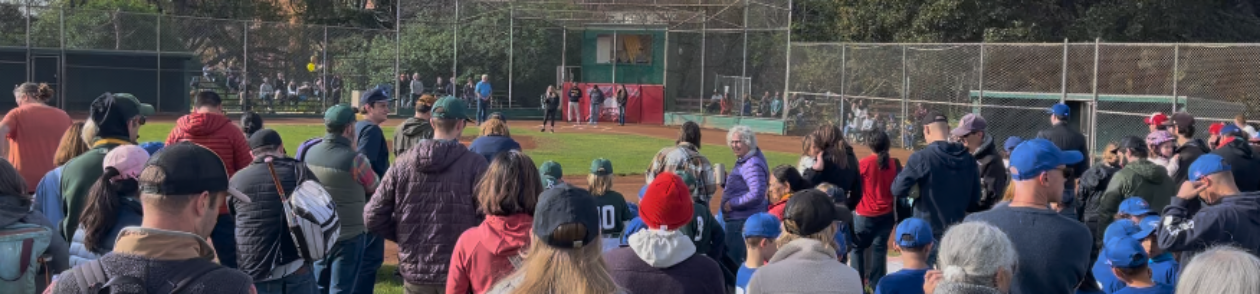 Welcome to Albany Little League